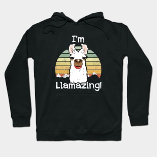 I'm Llamazing! Hoodie